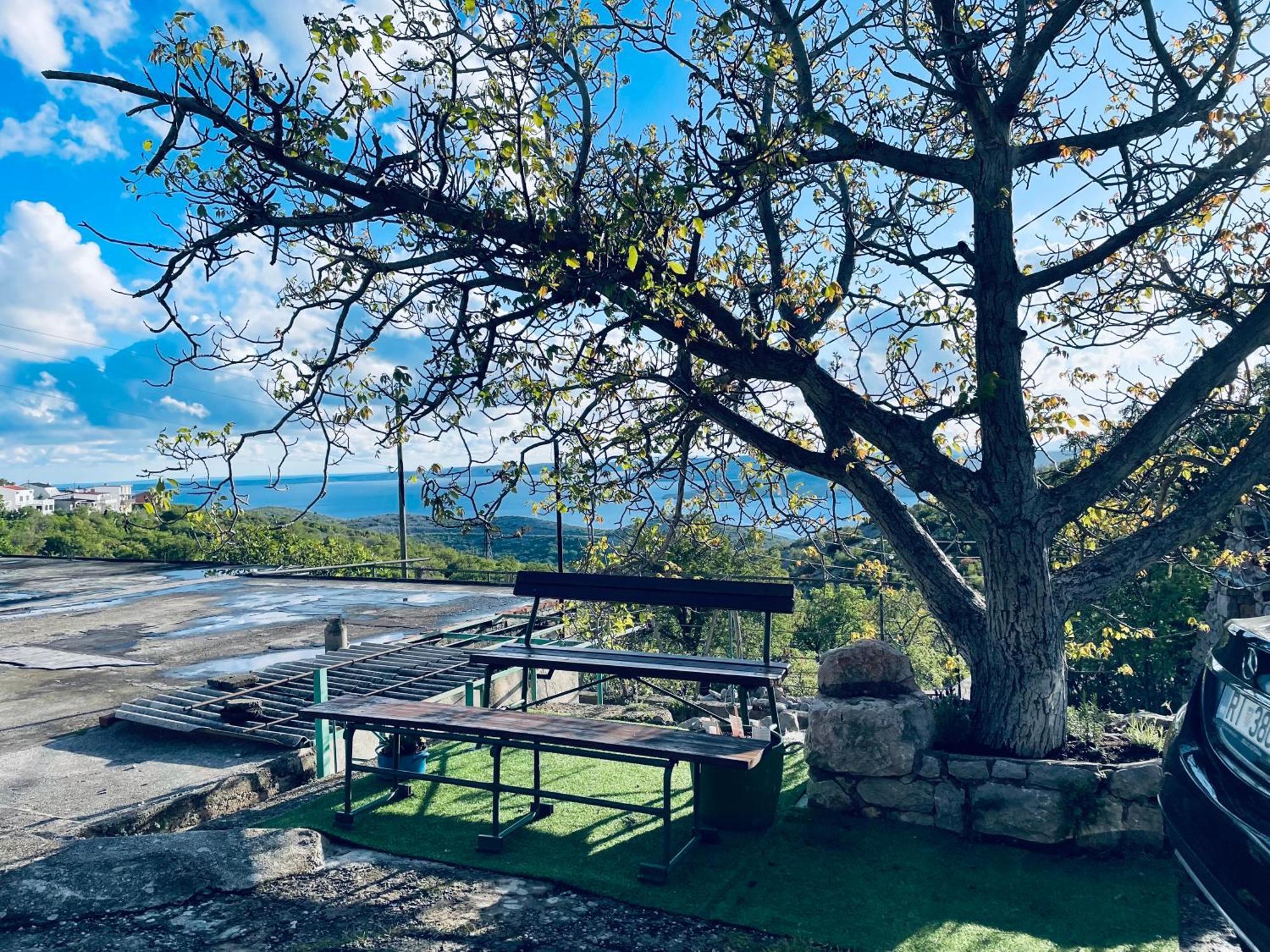 Kuca Za Odmor “Dida” Villa Stinica Bagian luar foto