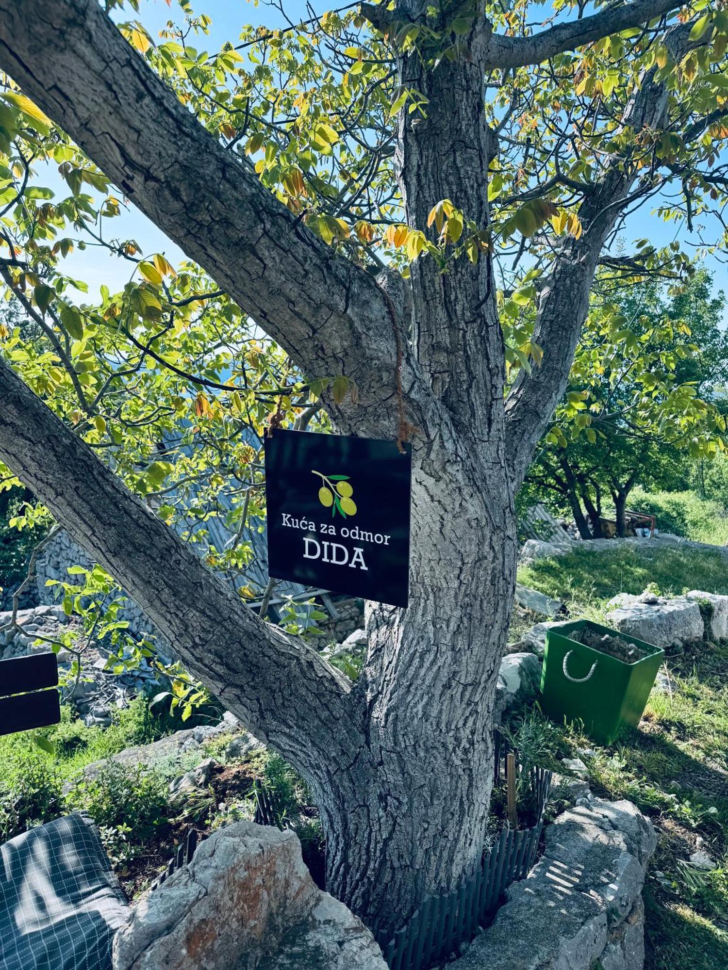 Kuca Za Odmor “Dida” Villa Stinica Bagian luar foto
